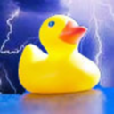 stormduck avatar