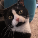 stormier-skies avatar