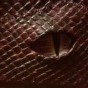 stormofstarlight avatar