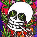 stormofweed-blog avatar