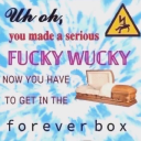 stormreachseven avatar