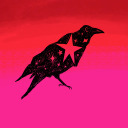 stormsailmyship avatar