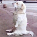 stormsendings avatar