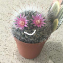 stormwatch7177 avatar