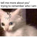 stormy-cloudz avatar