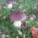 stormyandshameless avatar