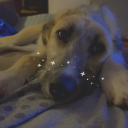 stormyseawitch avatar