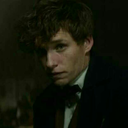 storyenthusiast avatar