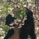 storylikethewind avatar