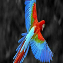 storylover90-blog avatar