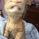 storyofachance avatar