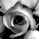 storyofarealist avatar