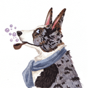 storythecorgi avatar