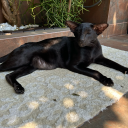 stove-burns-on-my-hand avatar