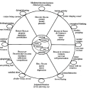 stowaway-girl avatar