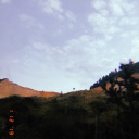 stradivarius-kid avatar