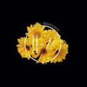 straight---chlorine avatar