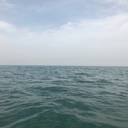 straight-outta-230 avatar