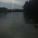 straightlikeacircle avatar