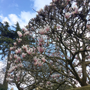 straightoutofthesunset avatar