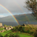 straightscotchtoo avatar