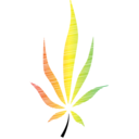 strain-theory avatar