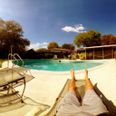 strainoftheday-blog avatar