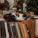 straithusband avatar