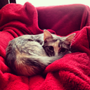 strandedallinlove avatar