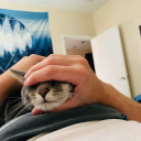 strange--mermaid avatar