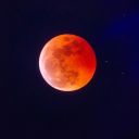 strange-and-horrid-thing avatar