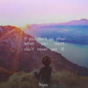 strange-but-wonderful avatar