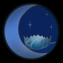 strange-in-motion avatar