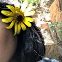 strangegalaxydetective avatar