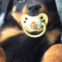 stranger-is-here avatar