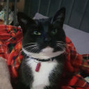 stranger-than-a-manger avatar