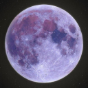 strangerloves avatar