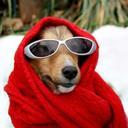 strangermalfoy avatar