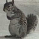 strangers-scare-me avatar