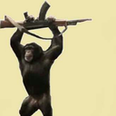 strangerswisely avatar