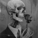 strangertot-blog avatar