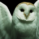 strangesapph1re avatar