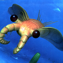 strangeshrimp avatar