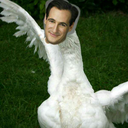 strawberry-daddy1 avatar