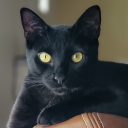 strawberry-emiee avatar