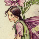 strawberry-fae avatar