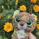 strawberry-furby avatar