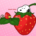 strawberry-hedgehogs-hedgeblog avatar