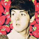 strawberry-macca avatar