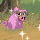 strawberrycola avatar